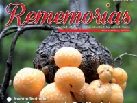 Rememorias: revista de prácticas culturales de la provincia de Osorno (1era, 2da, 4ta y 5ta versiones). Las restantes son autogestionadas.